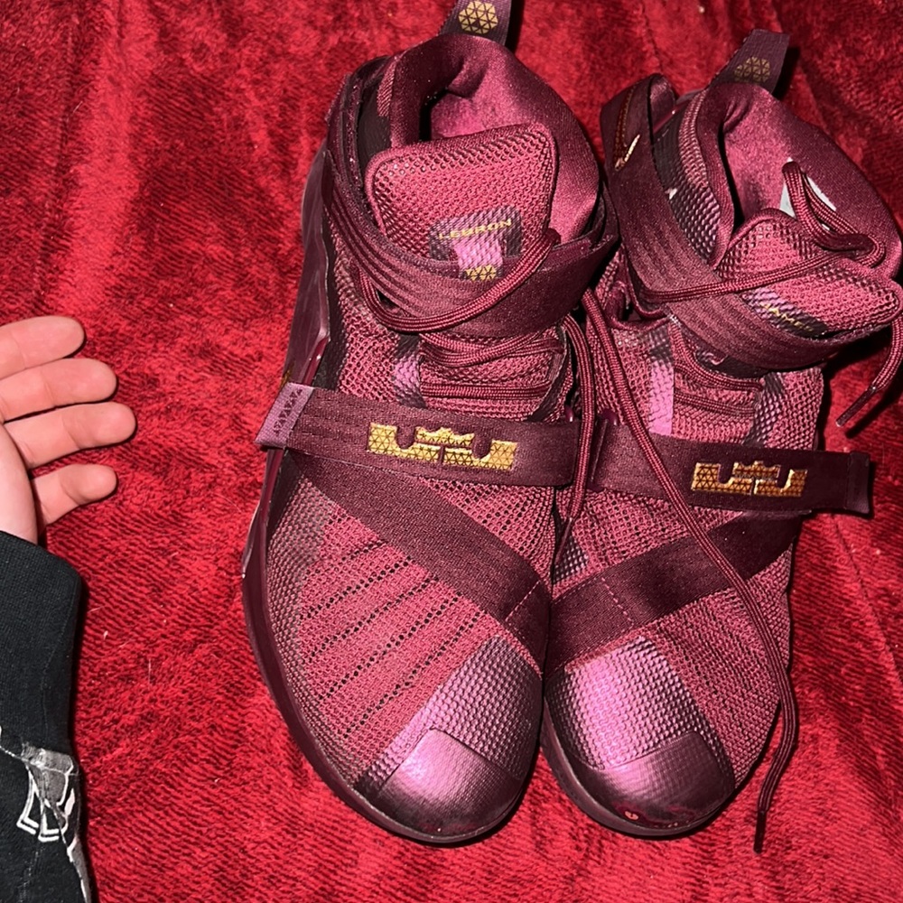 Lebrons - Picture 4 of 4